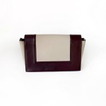 Celine Frame Shoulder Bag in Bi-Color Calfskin